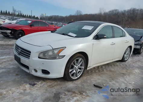 2010 Nissan Maxima 3.5 Sv z USA, uszkodzony, nr VIN 1N4AA5AP3AC849037